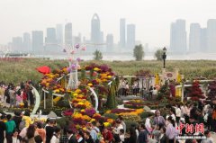 武汉金秋菊展吸引民众观赏